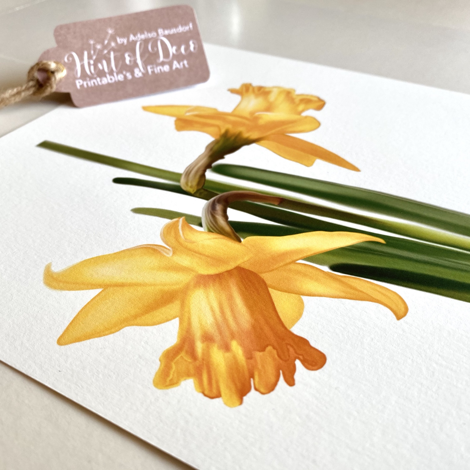 Illustrated yellow daffodils in 5 different formats, in high resolution, color profile Adobe RGB 1998